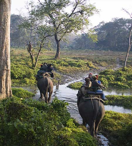 Jaldapara National Park